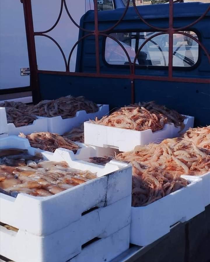 La Casuzza Di Lara Lägenhet Sciacca Rum bild